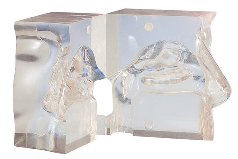 Transparent model nose