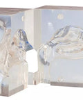 Model transparent nas