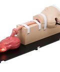 Simulator EGD (EsophagoGastroduodenoscopy)