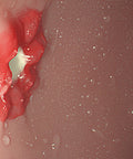 Simulator EGD (esofagogastroduodenoscopie)