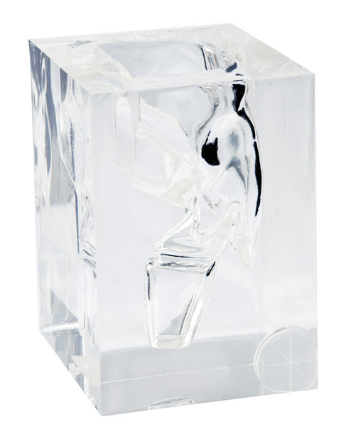 Transparent Laryngopharynx Model