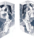 Model Laringofaringe Transparent
