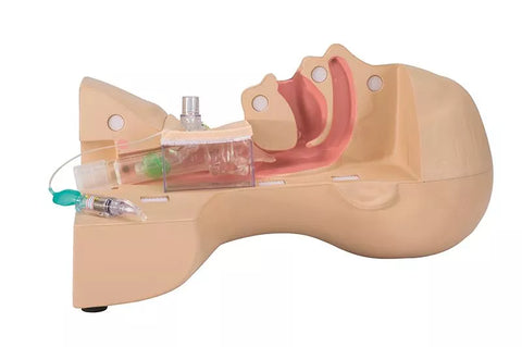 Simulator management traheostomie