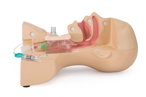 Tracheostomy management simulator