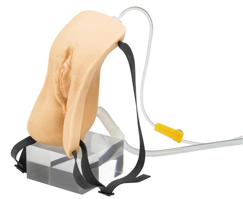 Model de cateterizare feminină