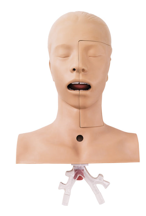 Suction training model