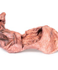 Stomac
