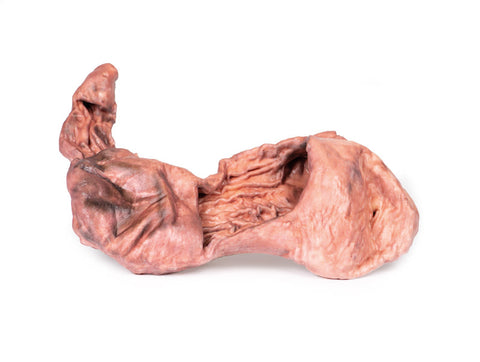 Stomac