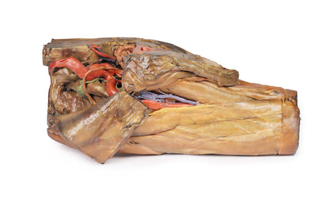 Hemipelvis masculin și coapsă