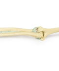 Ligamentele membrului superior