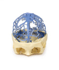 Anatomie imprimată 3D - Circulația venoasă