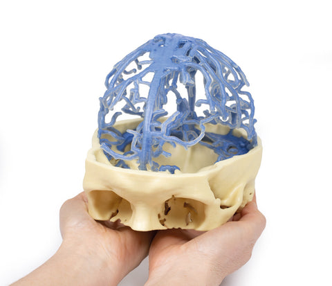 Anatomie imprimată 3D - Circulația venoasă