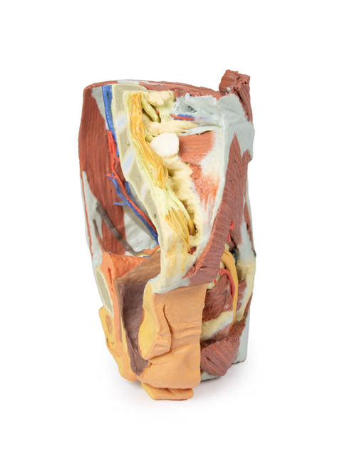Pelvis drept feminin