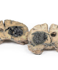 Hemoragie intracerebrală