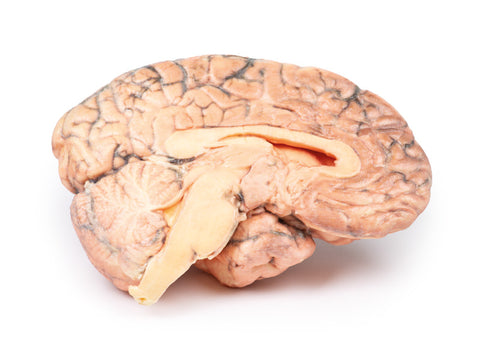 Craniofaringiom