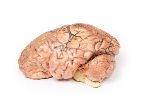 Craniofaringiom