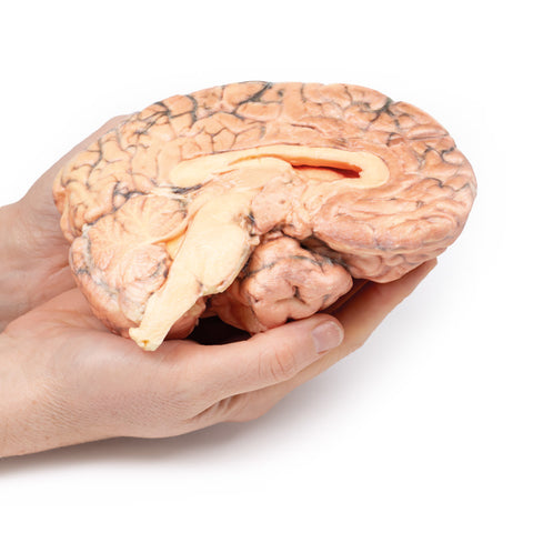 Craniofaringiom