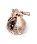 Tetralogia Fallot