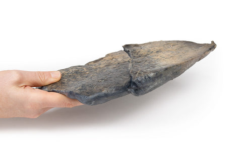 Bronhopneumonie