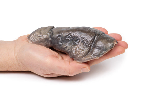 Plămân — fibroză chistică