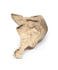 Boala Hirschsprung