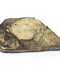 Carcinom hepatocelular