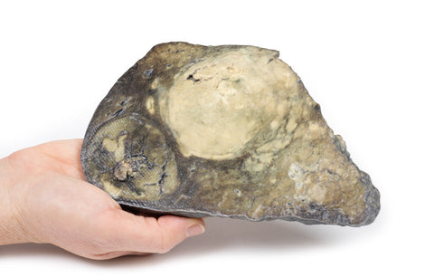 Carcinom hepatocelular