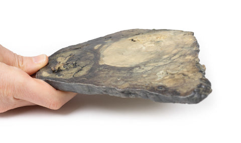 Carcinom hepatocelular