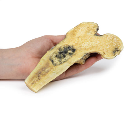 Osteosarcom femural