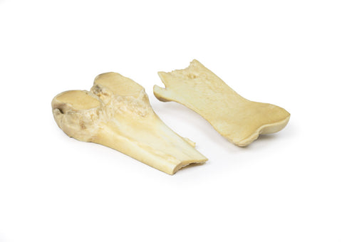 Osteocondrom