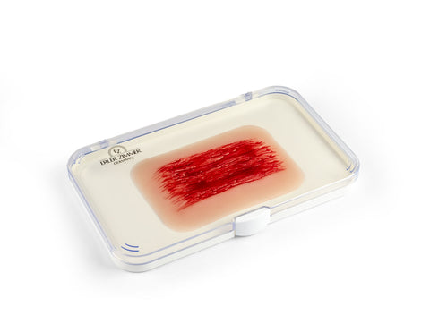 Moulage rană "abraziune"