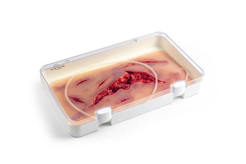 Moulage lacerație, mare cu funcție de sângerare