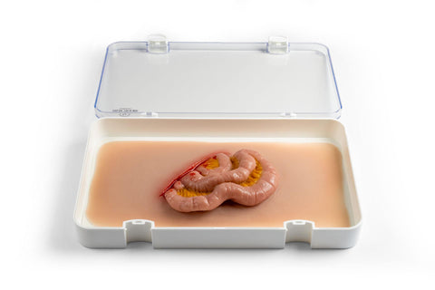 Moulage intestin subțire ieșit