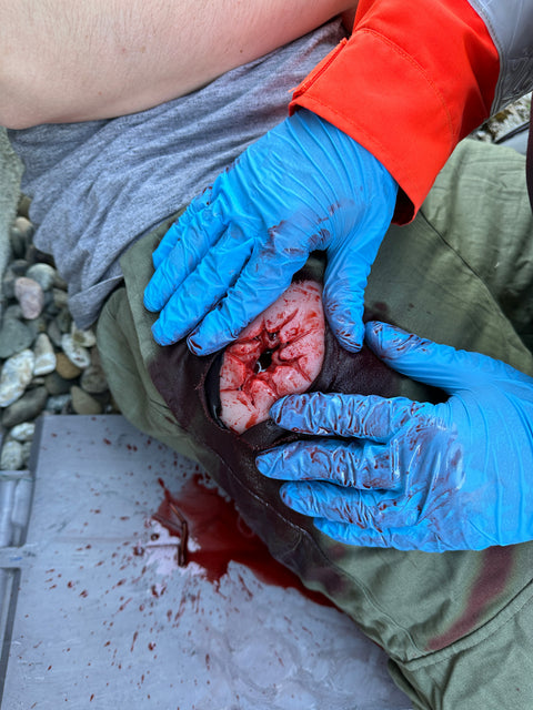 Moulage rană din armă de foc în regiunea inghinală, ambalare rană
