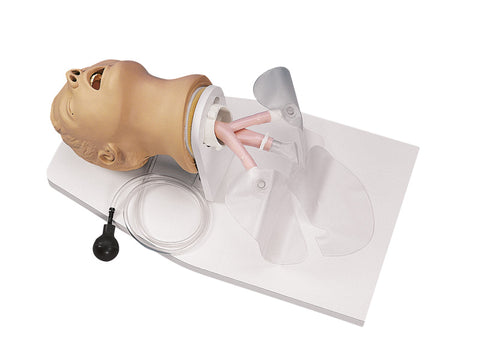 Adult Intubation head Airway Larry