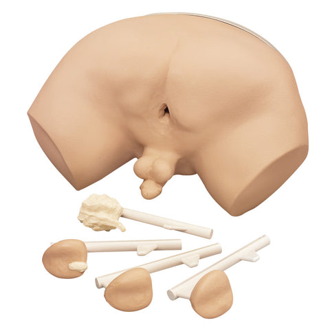 Simulator de examinare a prostatei