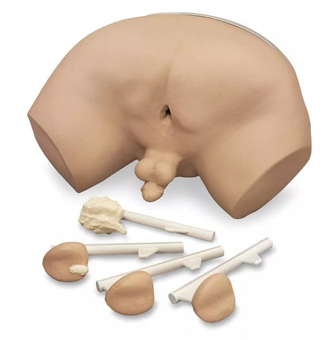 Simulator de examinare a prostatei