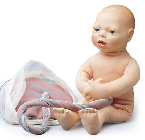 Păpușă fetus