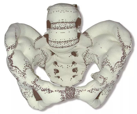 Pelvis din material textil