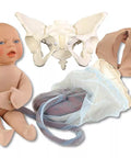Set de model de naștere de lux