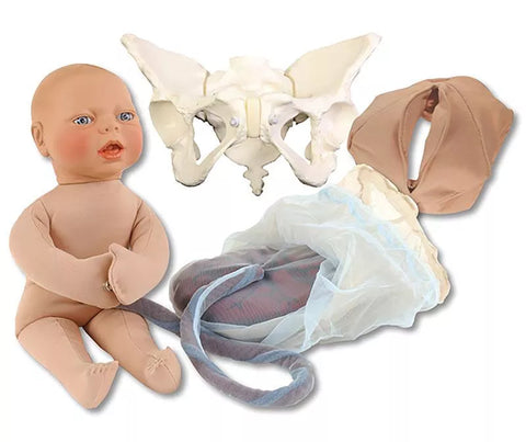 Set de model de naștere de lux