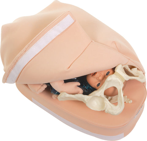 Set model de palpare abdominală