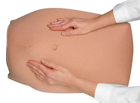 Abdominal Palpation Model Set