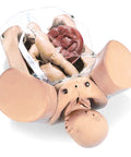 Manechin obstetrical