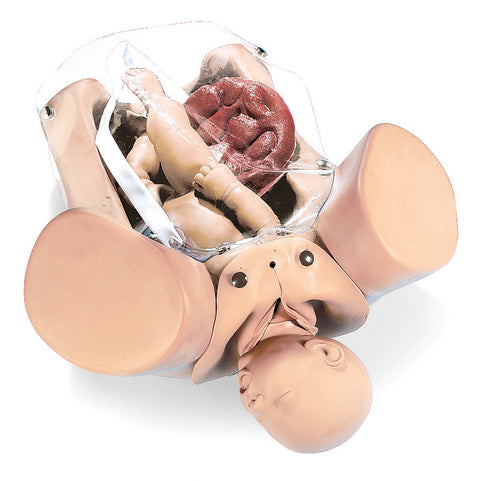 Manechin obstetrical