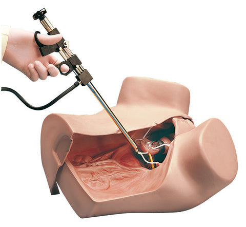 Simulator ginecologic