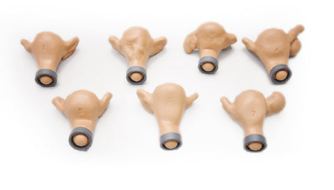 Simulator ginecologic GYN/AID