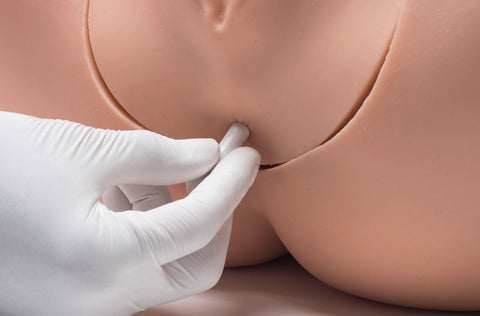 ZOE Gynecological Skills Trainer