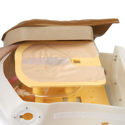 Airway Larry Adult Airway Management Trainer Torso