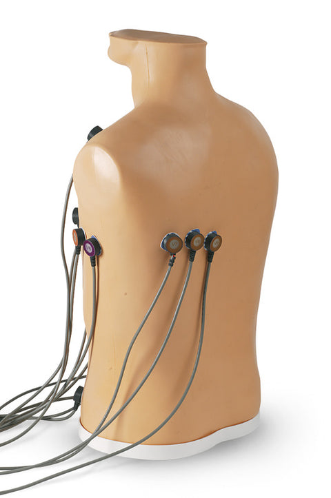 Simulator de plasare a electrozilor ECG cu 15 derivații